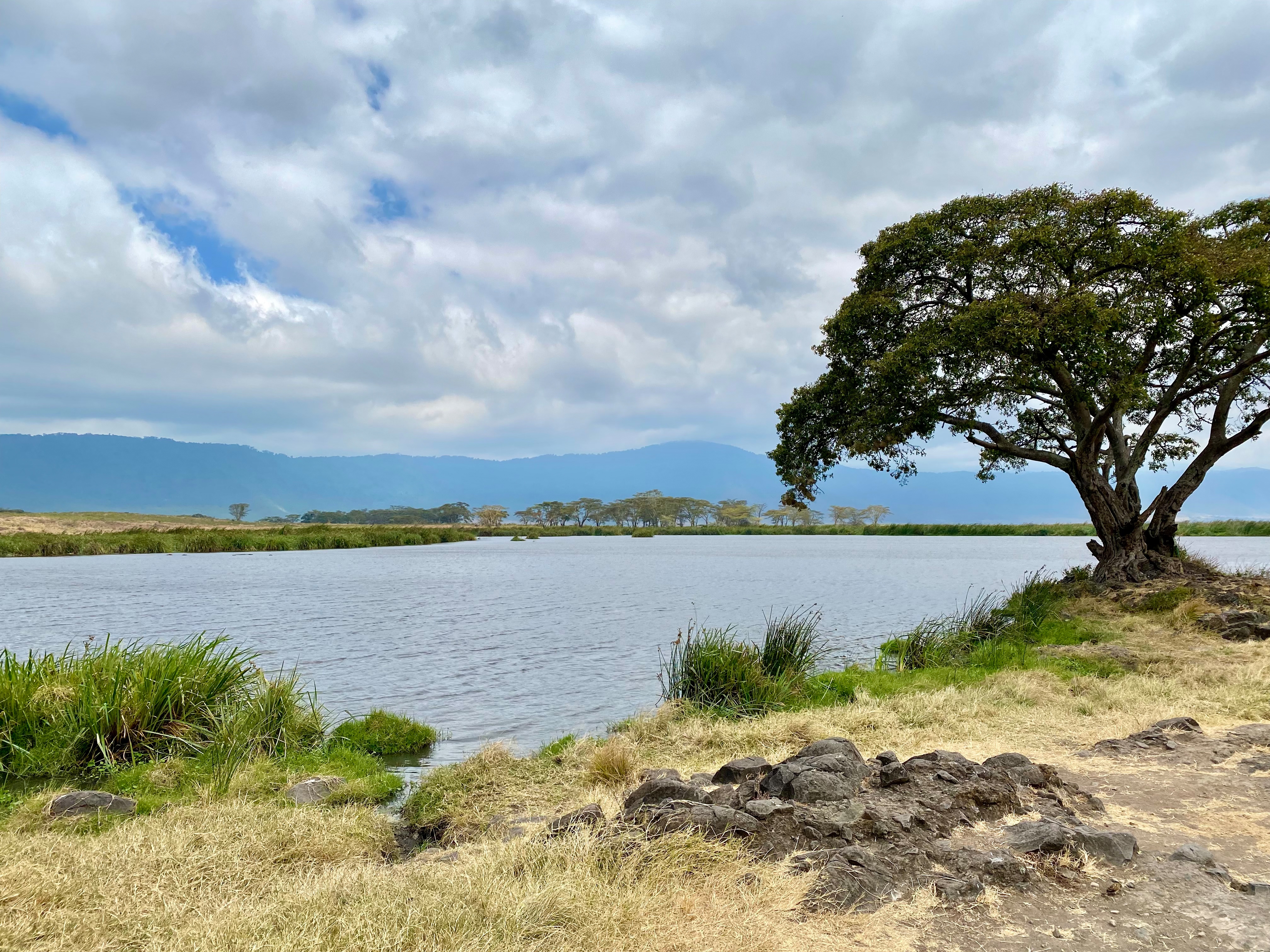 Ngorongoro Conservation Area Fluss