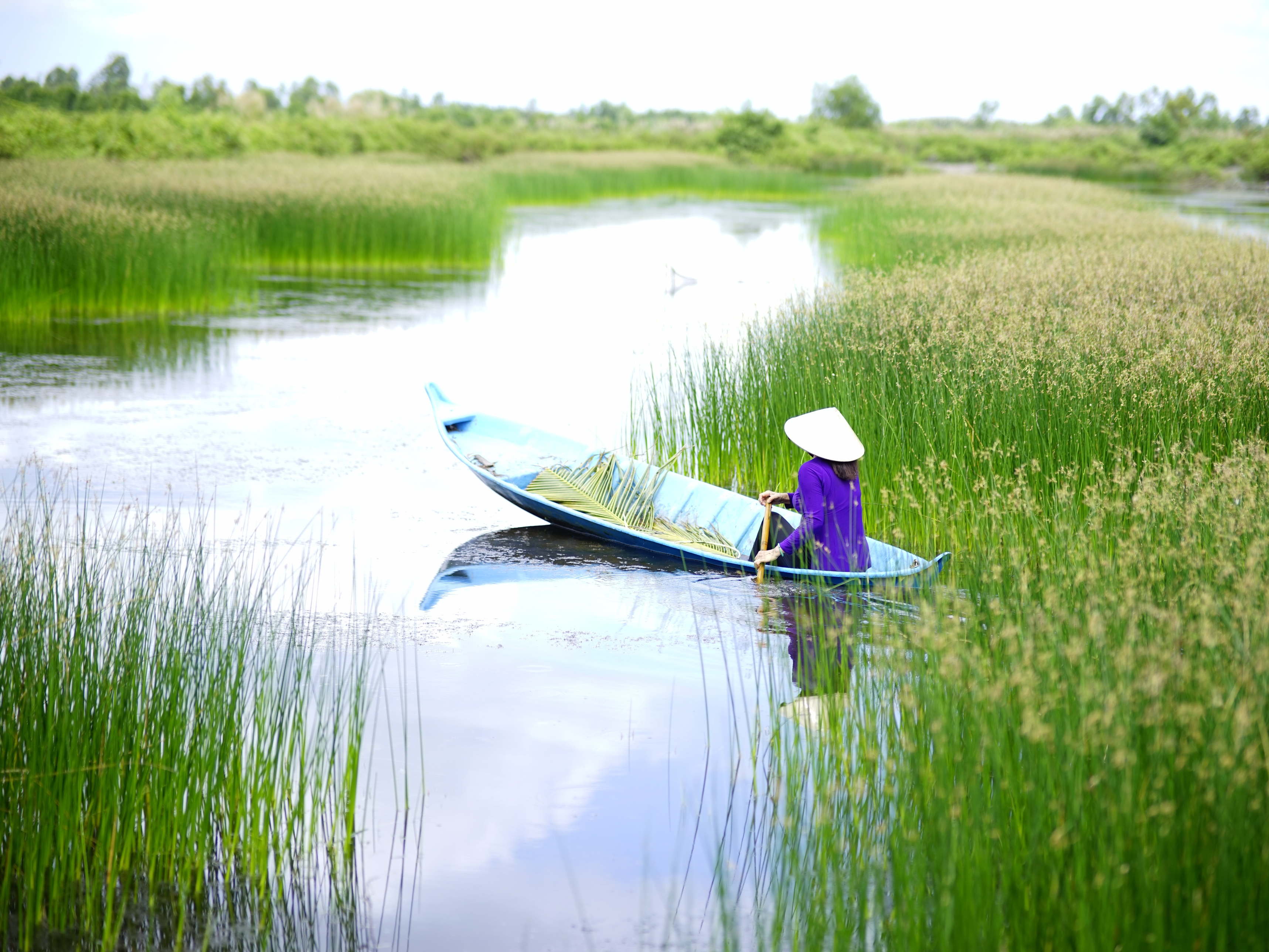Mekong Delta 