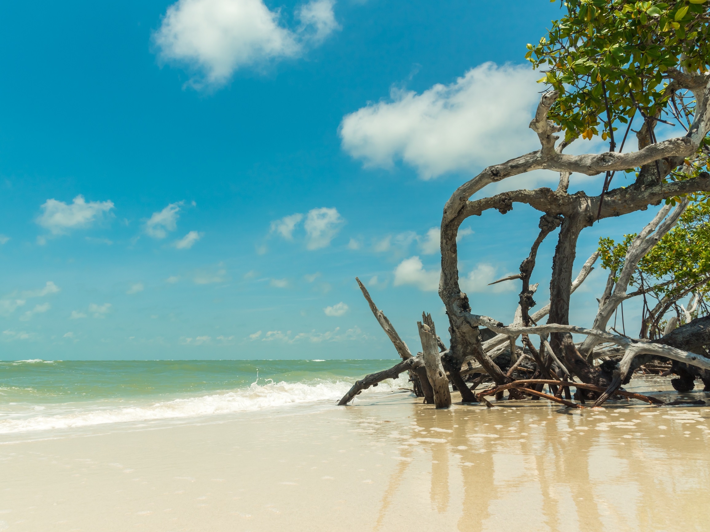 Bonita Springs Big Hickory Island