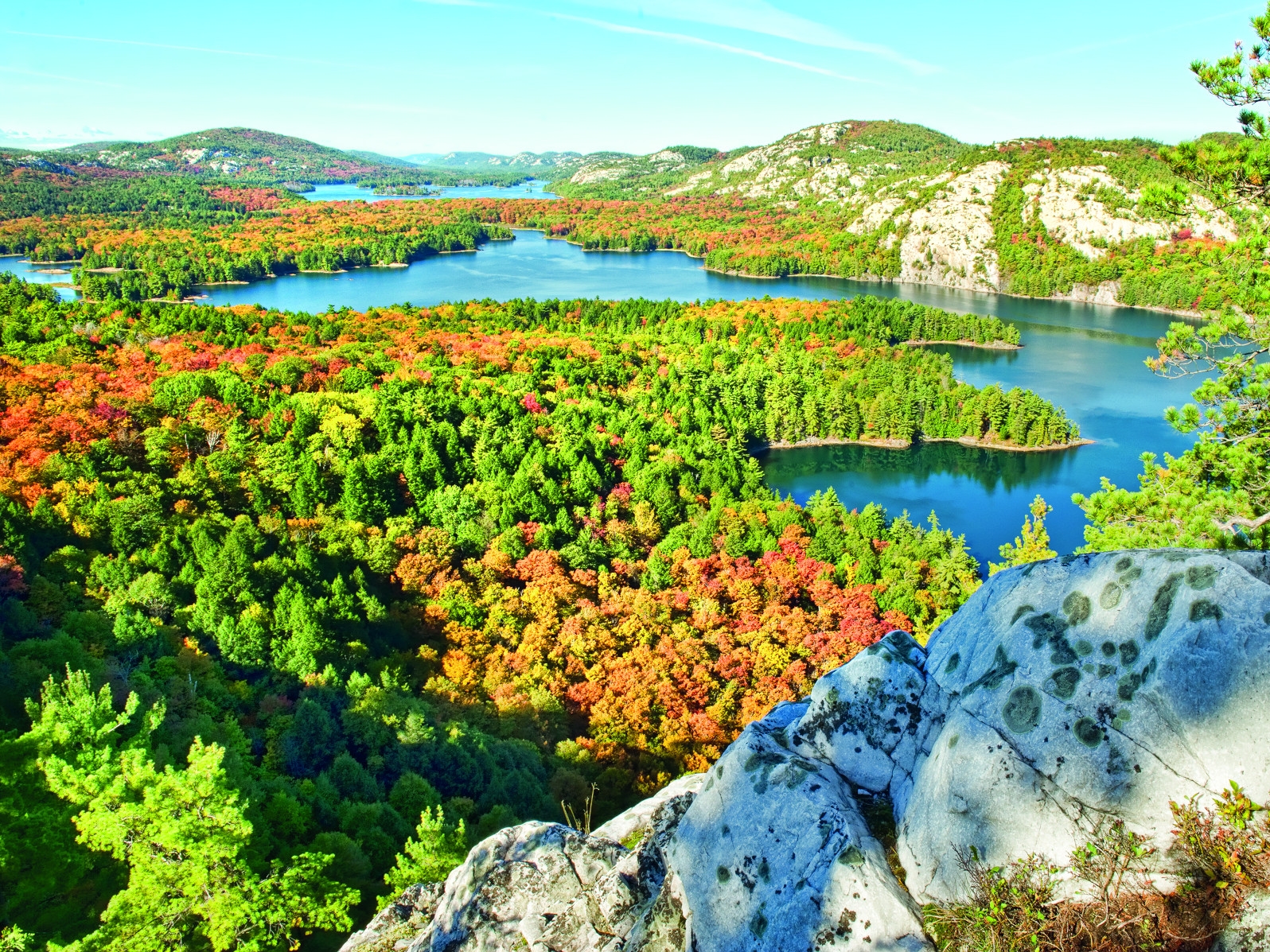 Algonquin Provincial Park Panorama