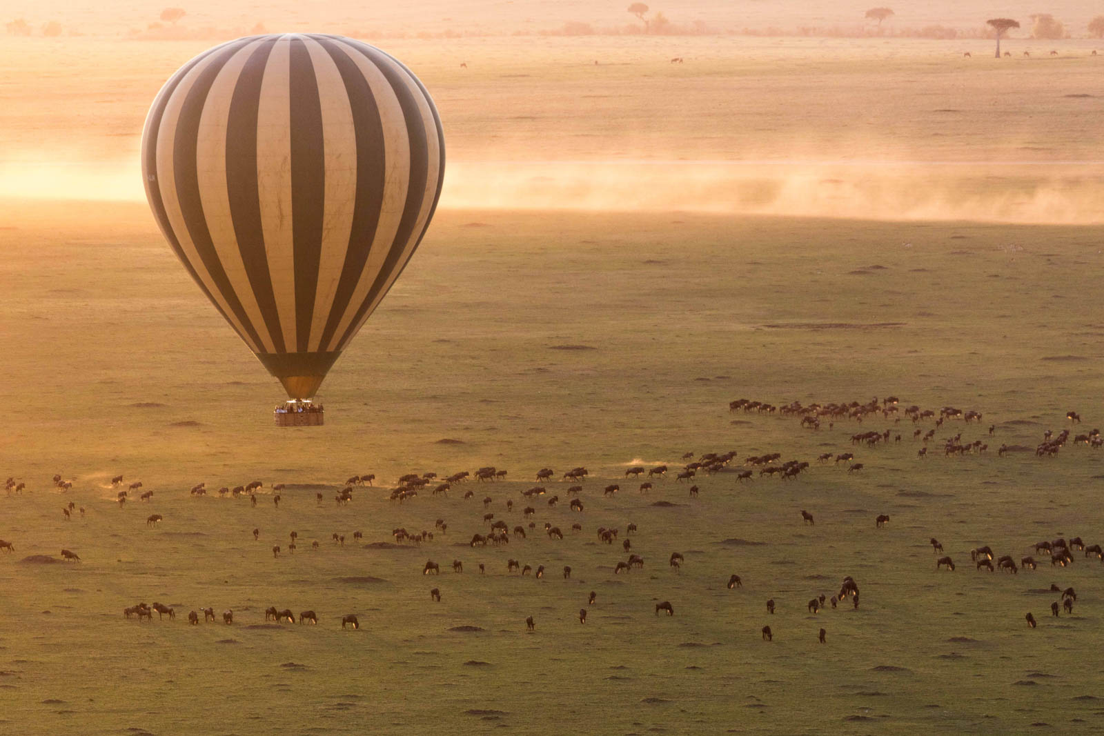  Serengeti Wildlife and Balloon Expedition