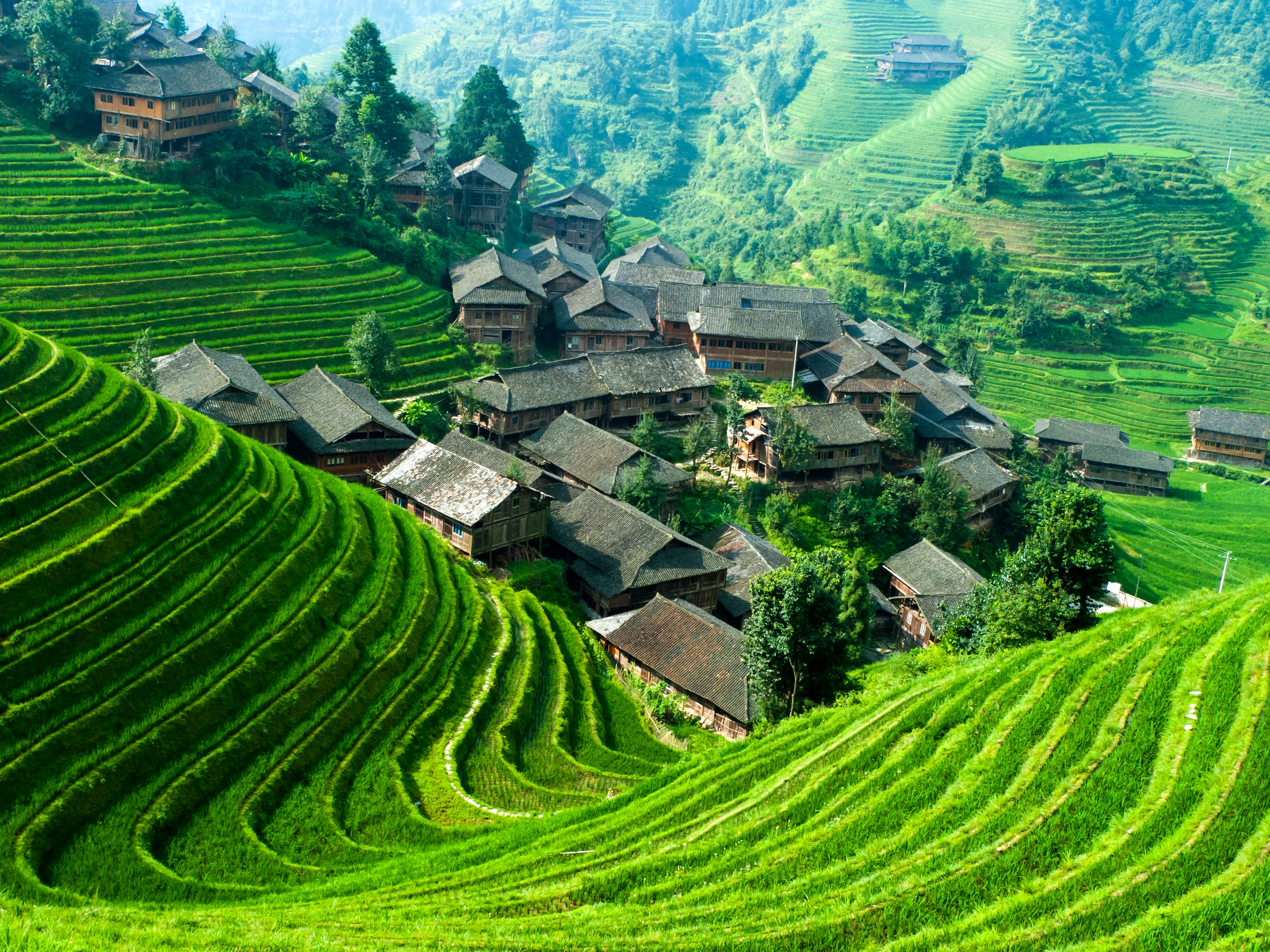 Longsheng Reisterrassen
