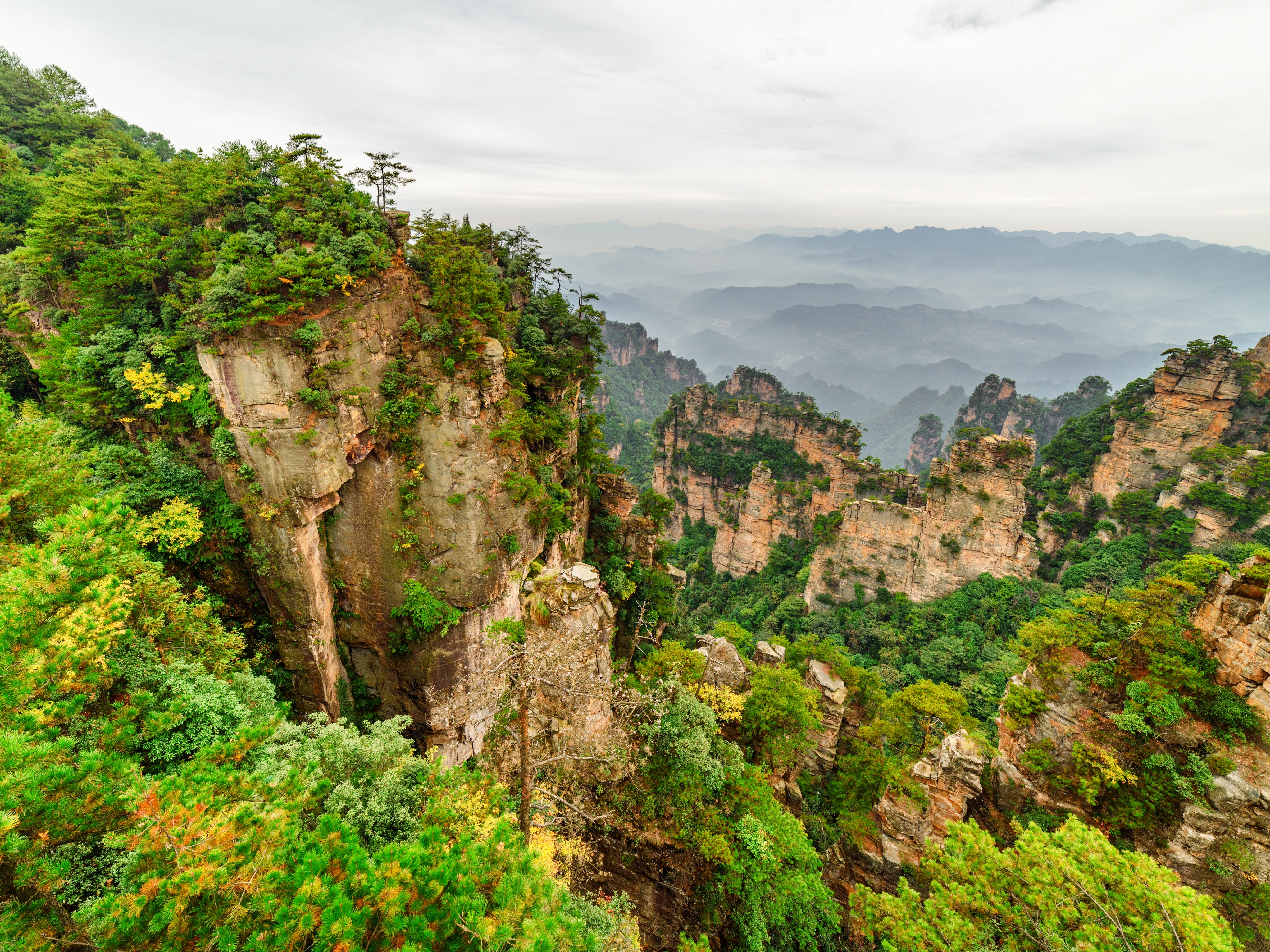 Zhangjiajie Tianzi Mountain