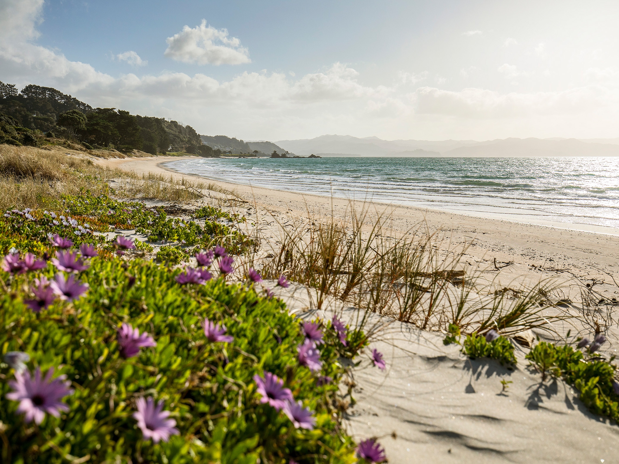 Coromandel Peninsula Kuaotunu