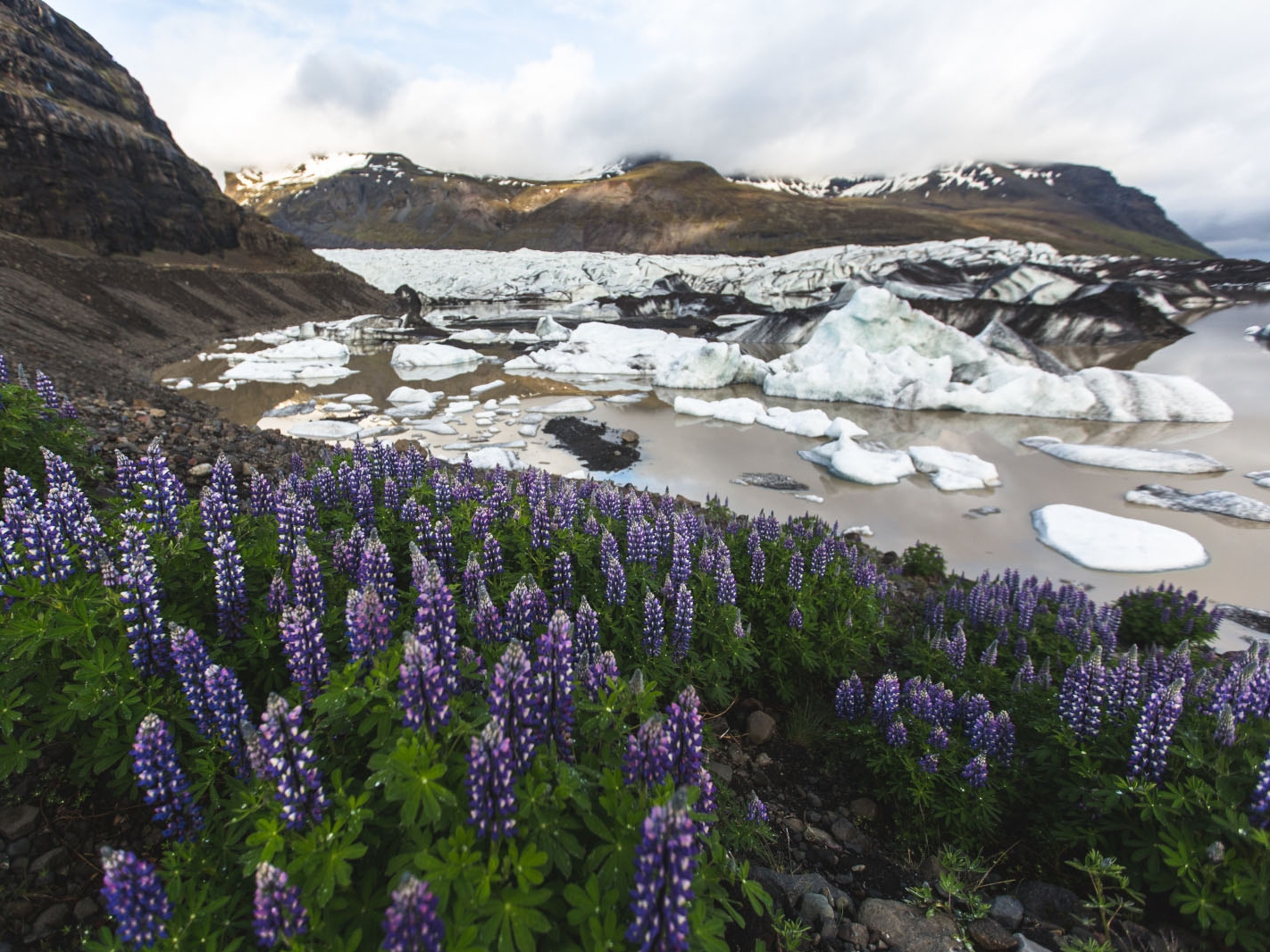 Skaftafell Nationalpark