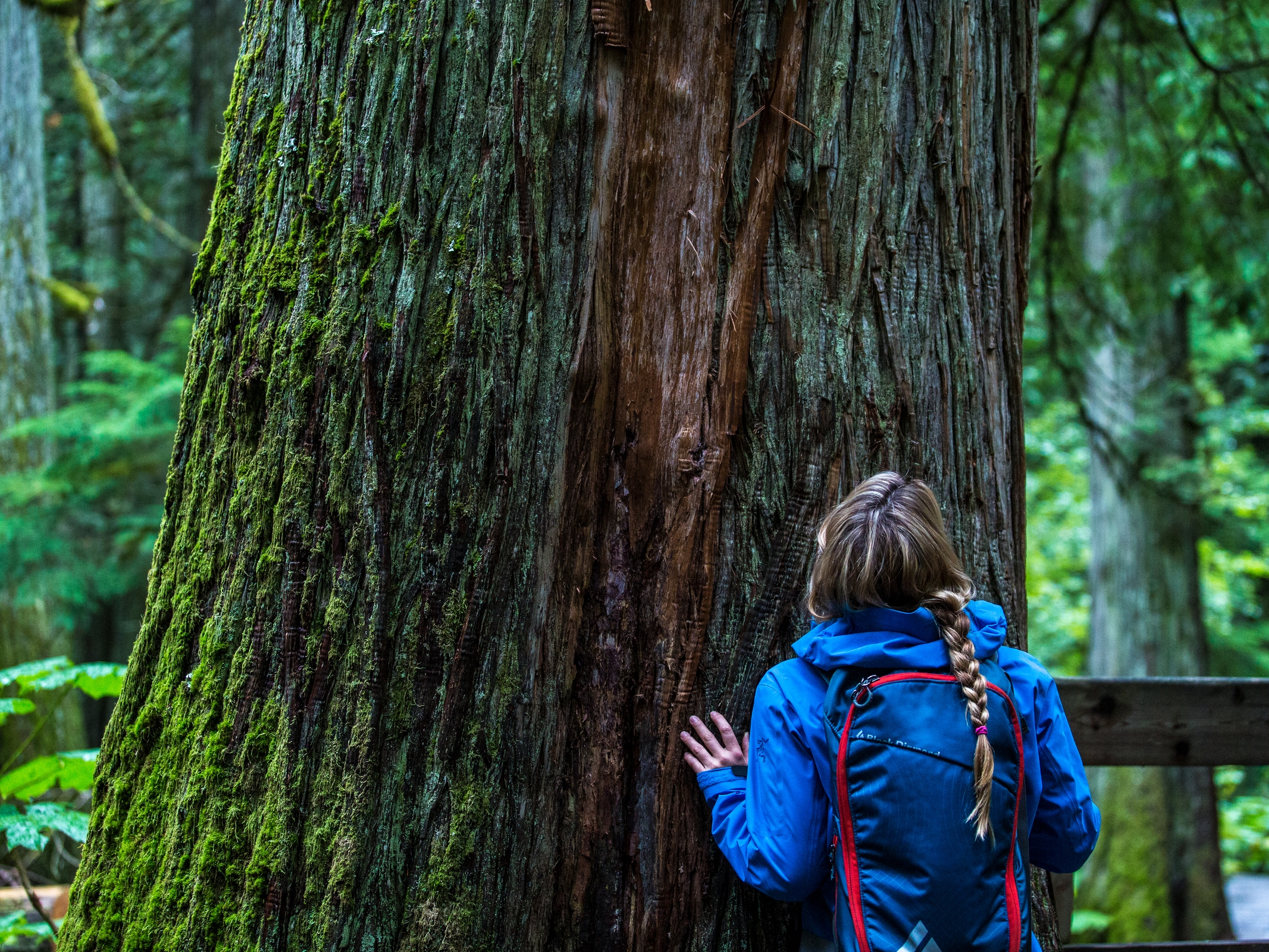 Mount Revelstoke National Park