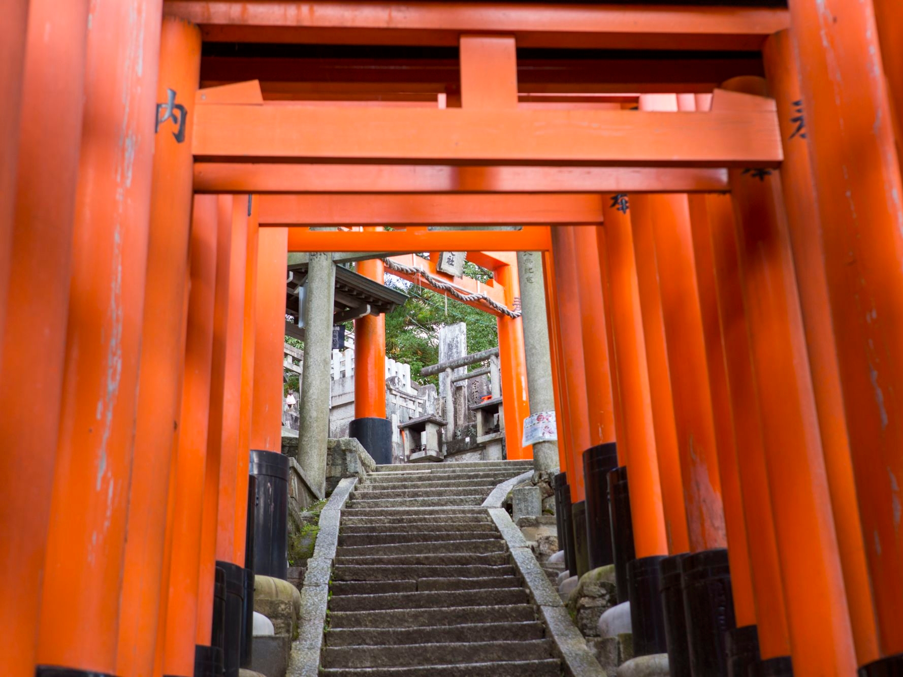 Kyoto Fushimi Inari Taisha