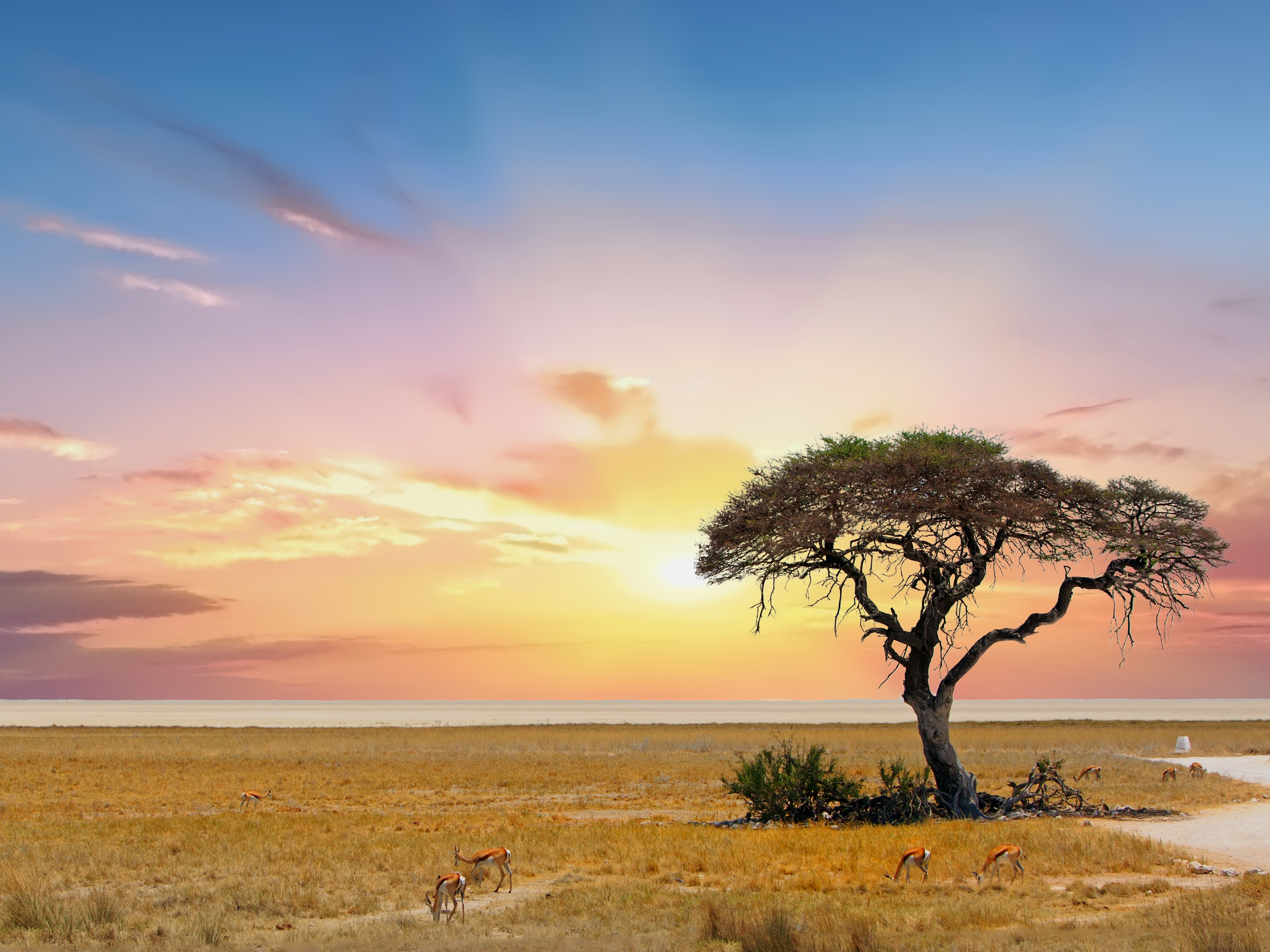 Etosha Nationalpark Sonnenuntergang
