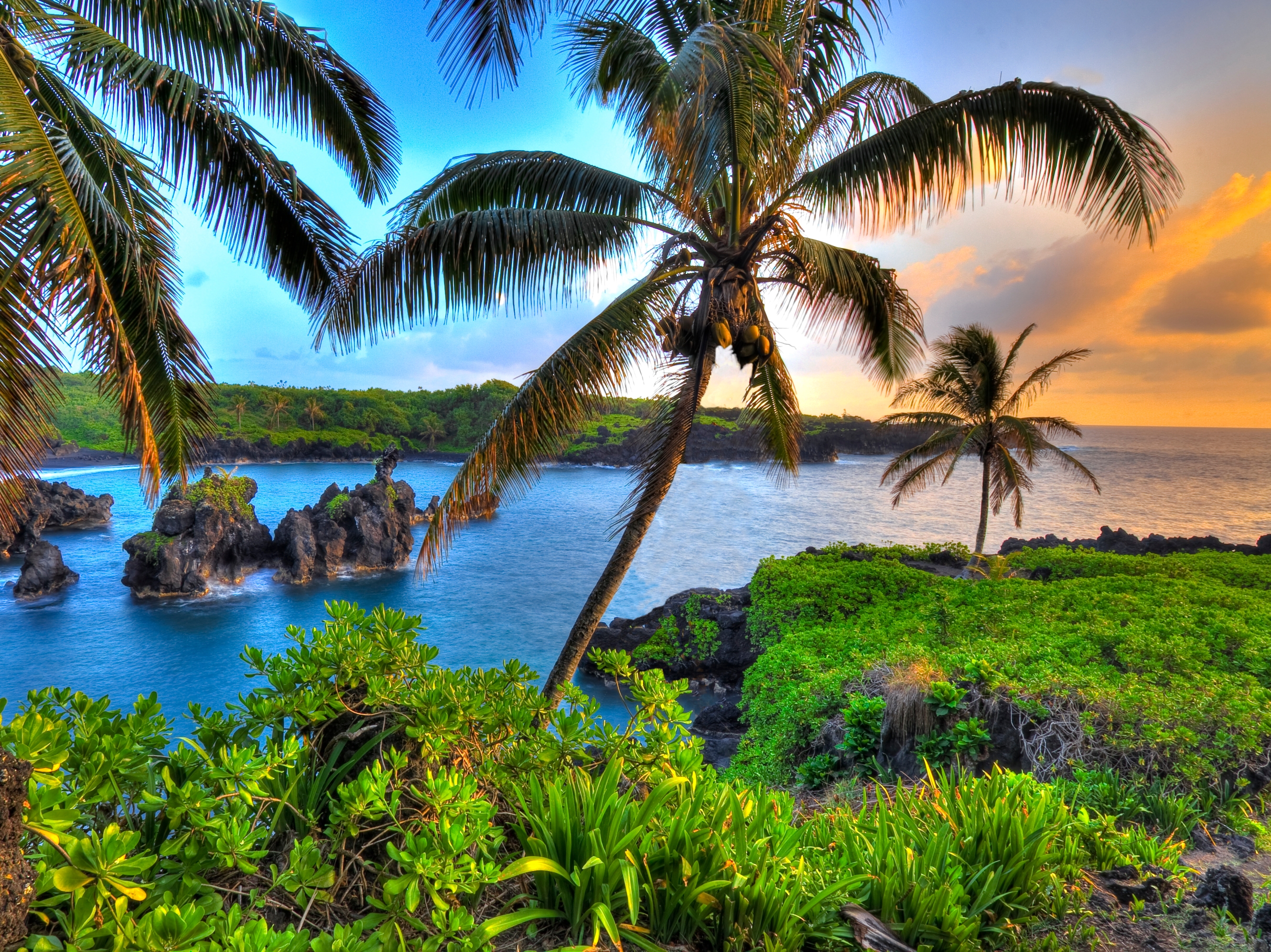 Maui Waianapanapa State Park