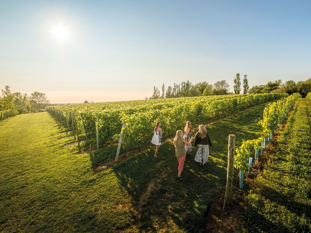 Annapolis Valley Wolfville Weingut