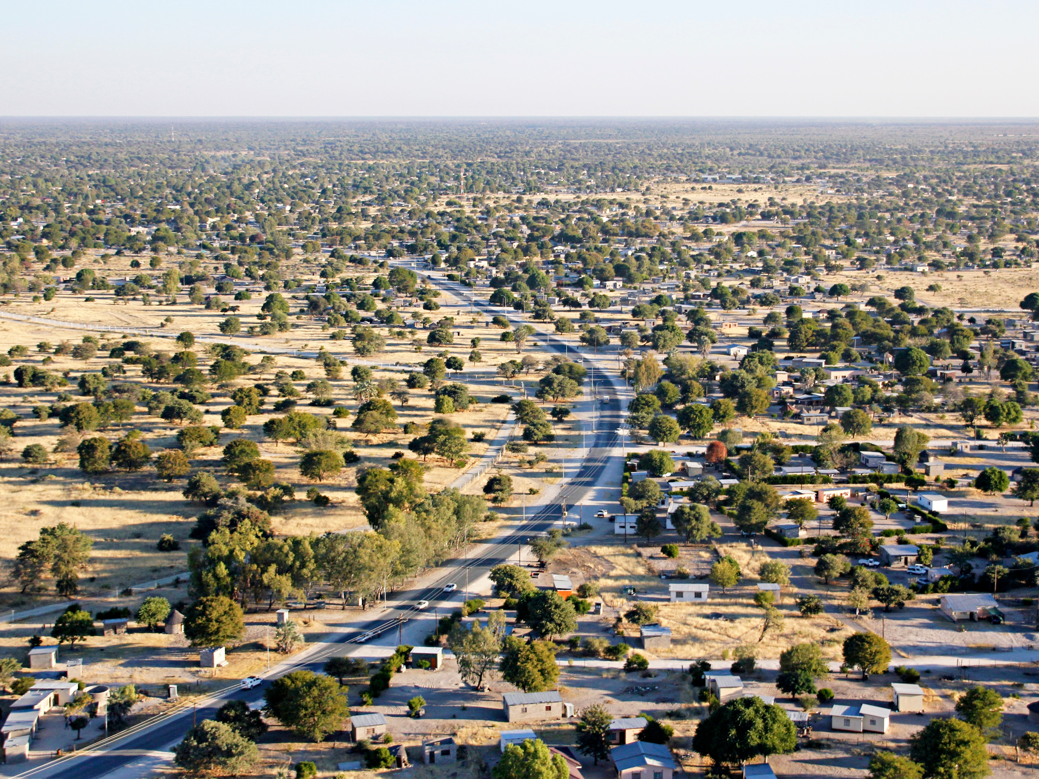 Maun