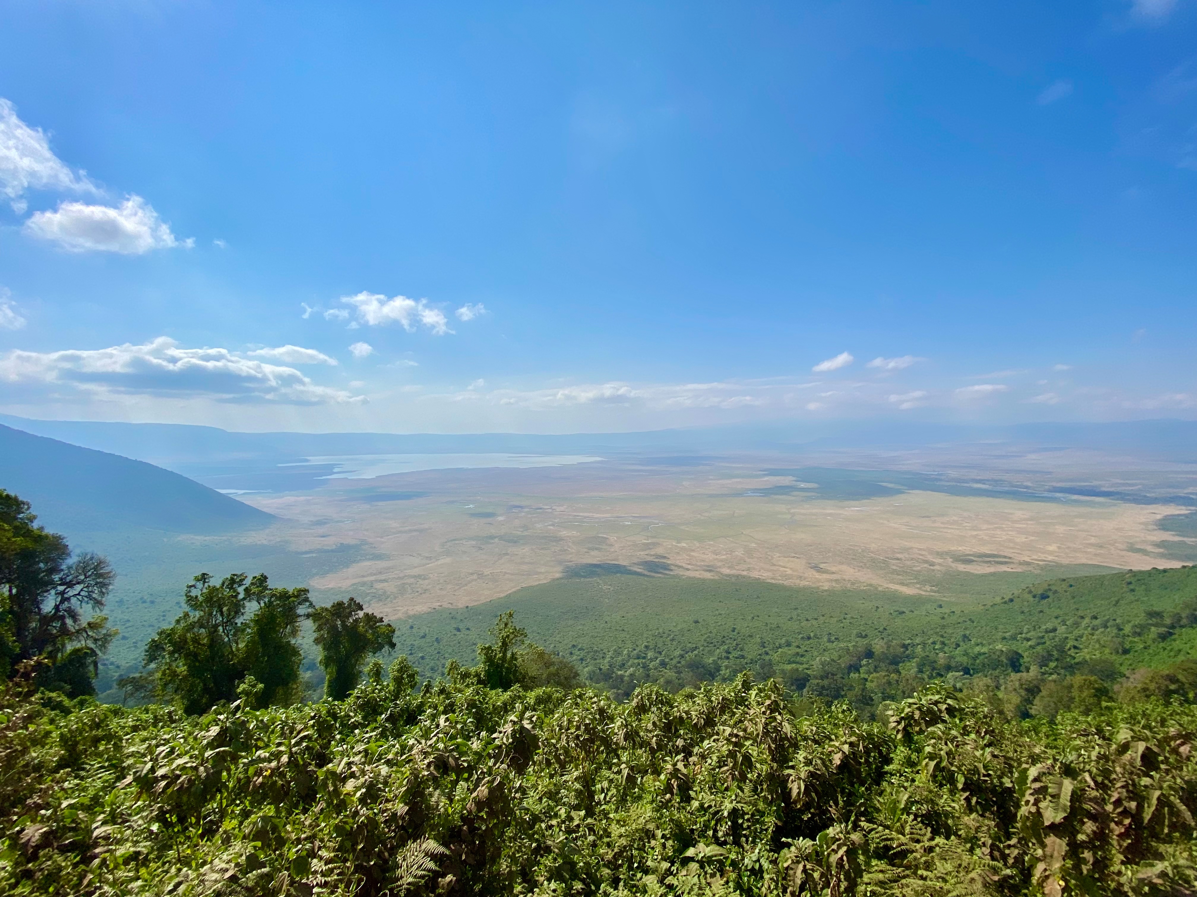 Ngorongoro Conservation Area 