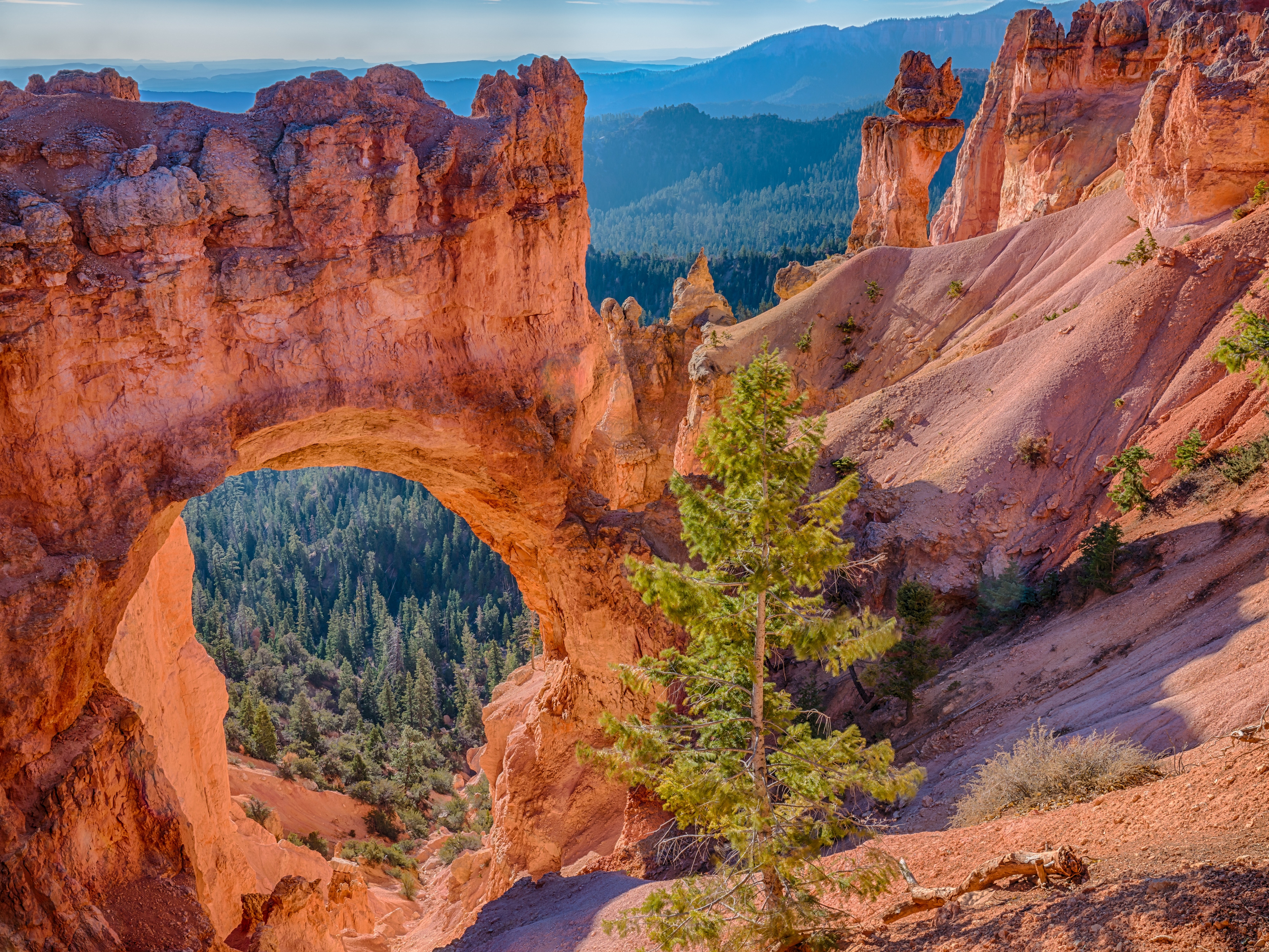Bryce Canyon Nationalpark