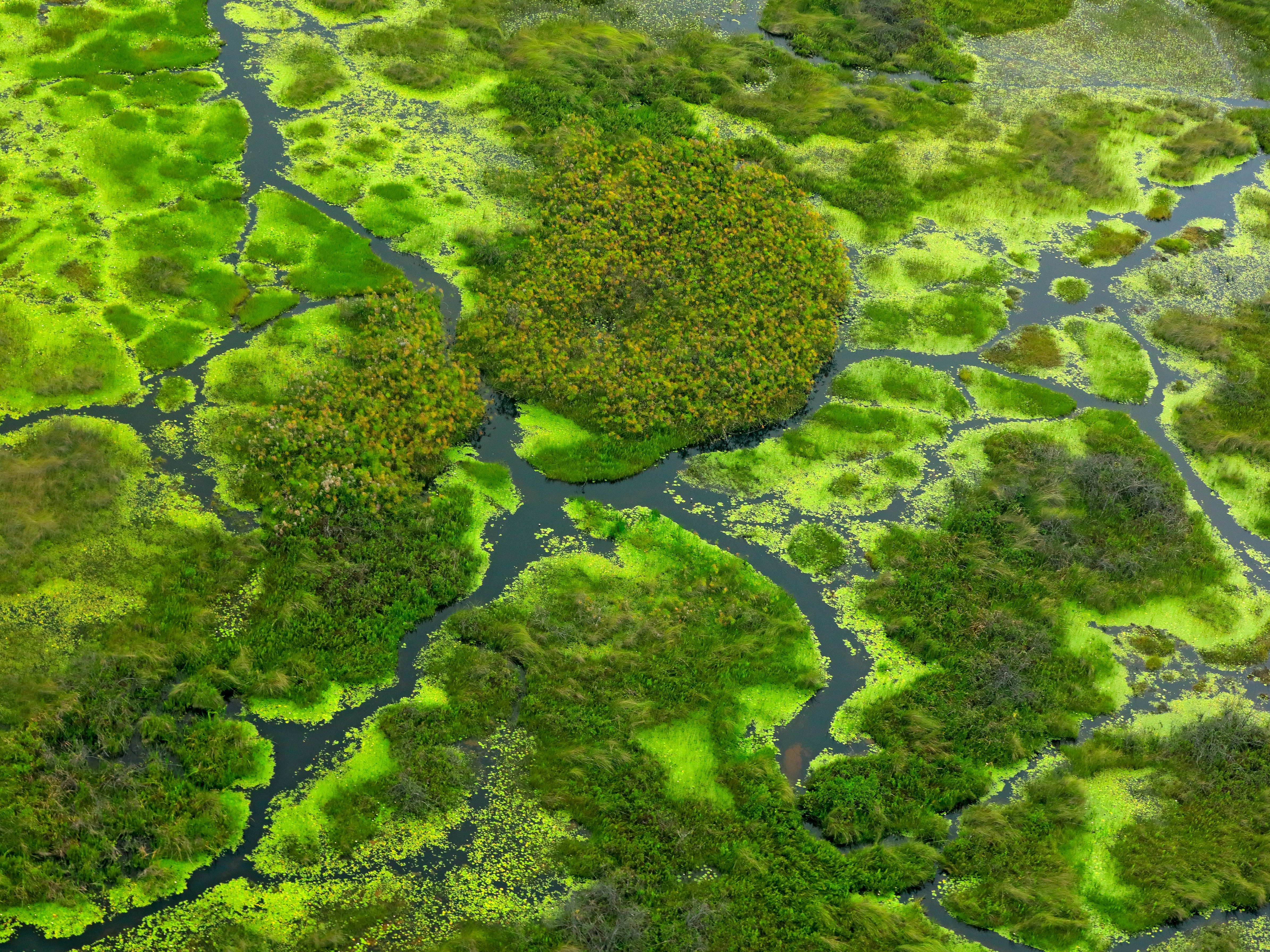 Okavango Delta 