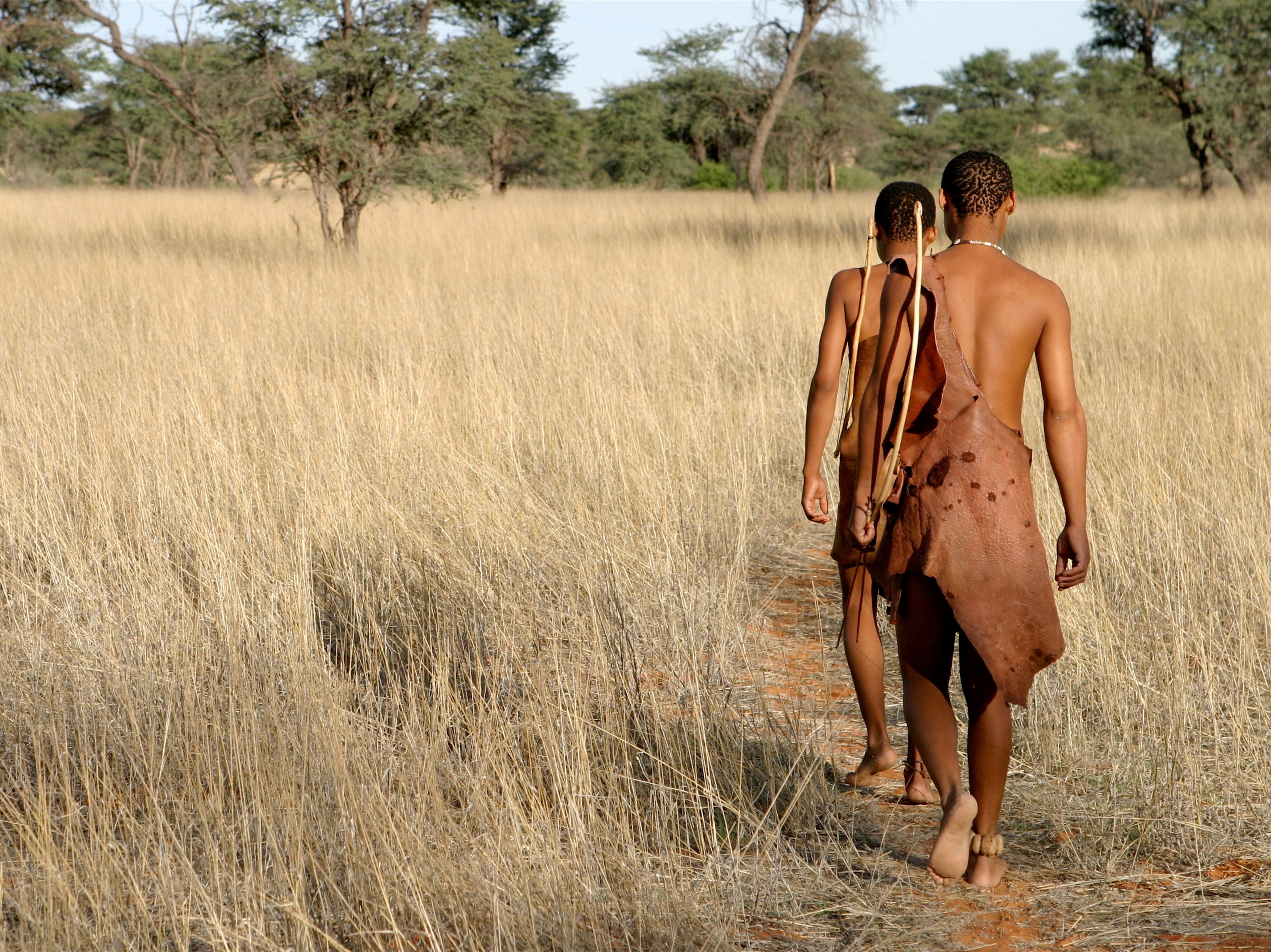 Kalahari Wueste Buschmaenner