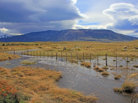 Chile Puerto Natales Landscapes