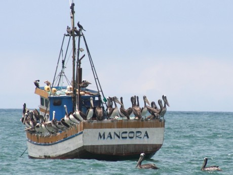 Mancora Boat