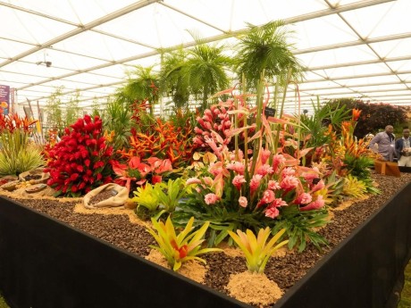 Grenada Flower Show