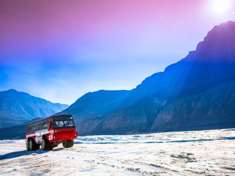 Athabasca Gletscher Ausflug - I