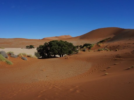 Wüstenlandschaft Sossusvlei