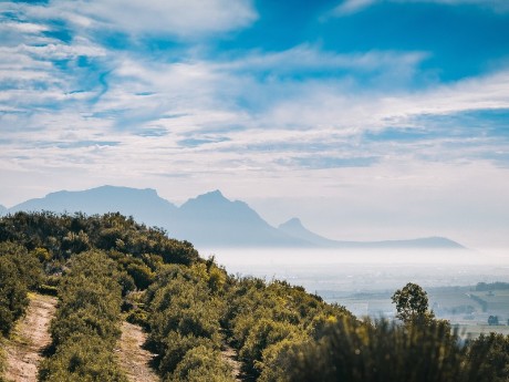 Stellenbosch, South Africa