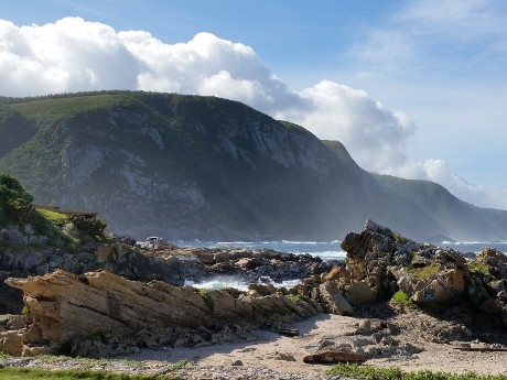 Tsitsikamma in South Africa