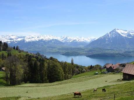 schweiz_interlaken_thunersee