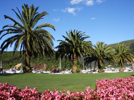 Neuseeland_Südinsel_Picton_