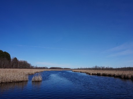 Landscape in Ottawa