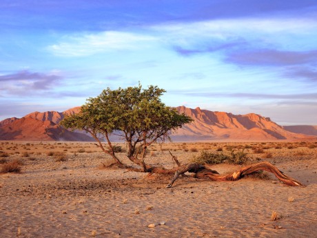 Namibia_Sonnenuntergang_Namib Wüste