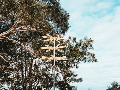 Arrows with Destination in Kaiteriteri