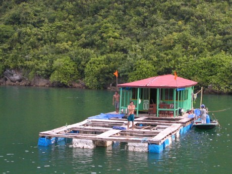 Ha Long Bay