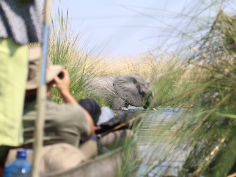 Sunway Botswana Okavango Jez Hollinshead