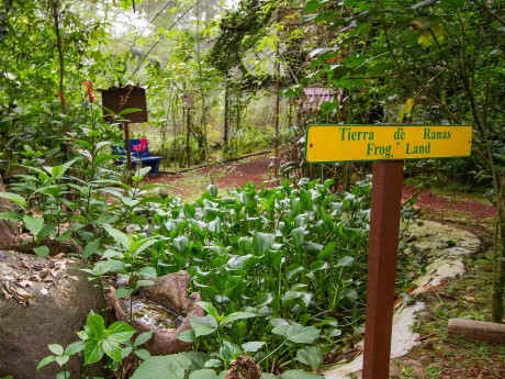 La Quinta Sarapiquí Lodge 3