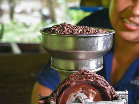 Bribri Chocolate Tour