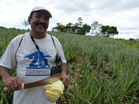 Finca Surá Don Rodolfo 1