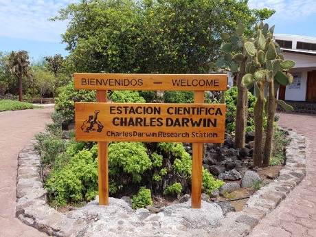 Charles Darwin Foundation