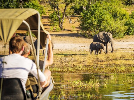 Botswana_Chobe Nationalpark_Elefanten