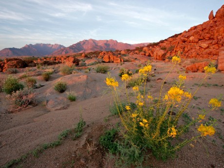 Namibia_Brandberg