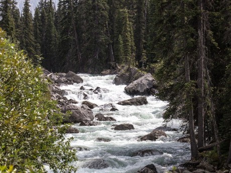 River in Jasper Canada