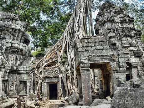 Dschungeltempel Angkor