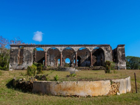 Cafetal Angerona - Kaffee, Produktion