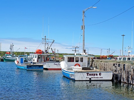 DSC07740 - Ready to Fish