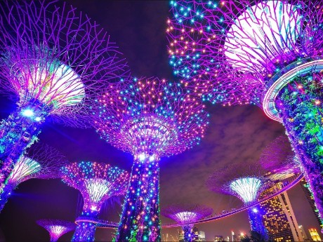 Leuchtende Super Trees in Singapur