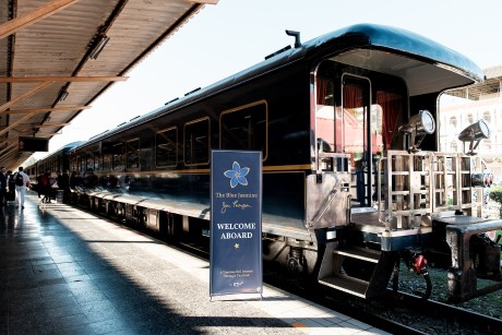 The Blue Jasmine Train