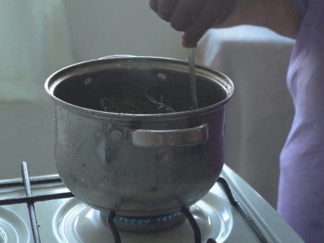 Quitirrisí medicinal herbs