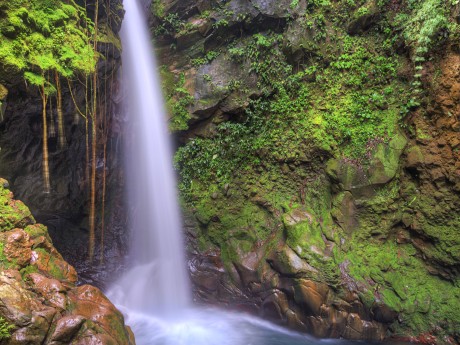 Oropendola Waterfall