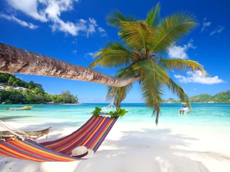 Seychellen_Palme_Hängematte_Beach_shutte