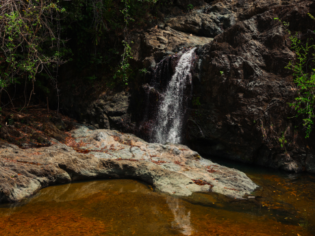 Tobago: Island Girl Tours