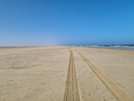 Africa Expeditions_Botswana_tracks-in-th